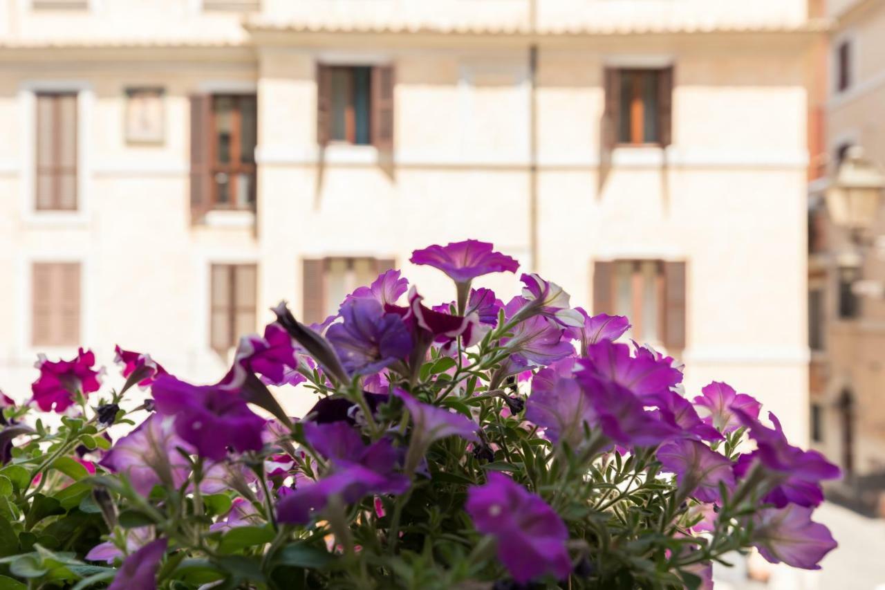 Buongiorno Colosseo Apartamento Roma